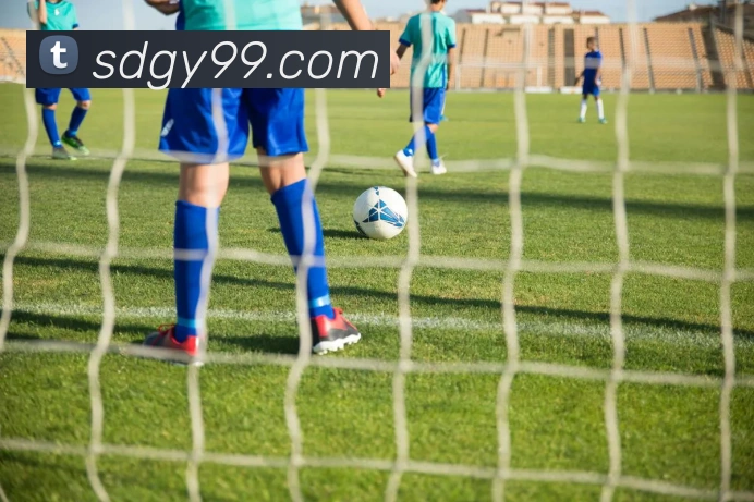 企业概况